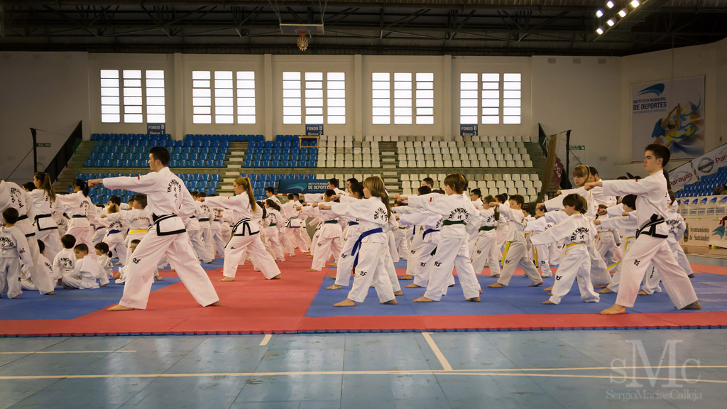 DIA DEL TAEKWONDO ABRIL 2017_3603.JPG